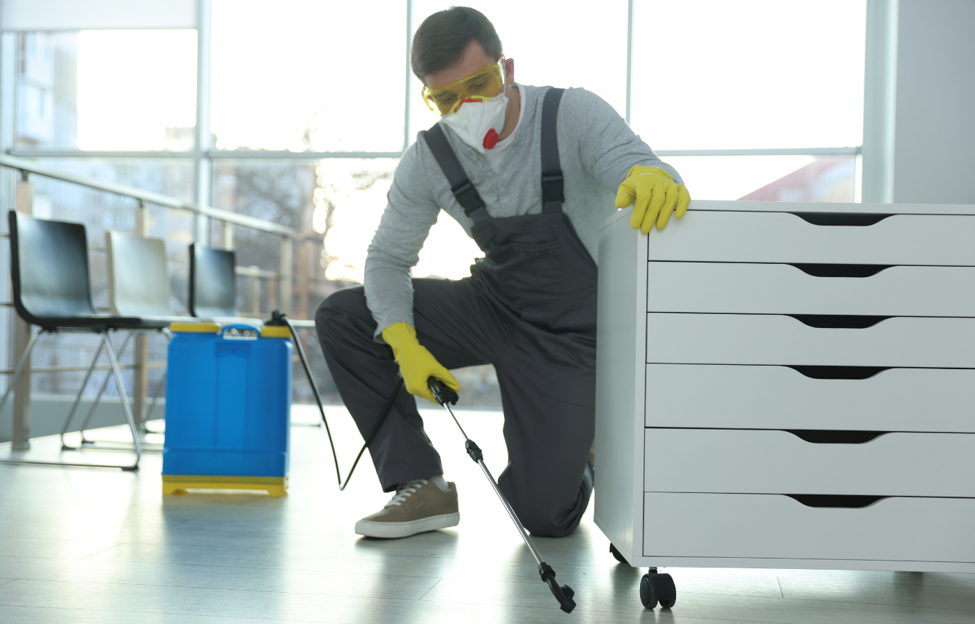 Esenyurt İlaçlama Hizmeti Alırken Nelere Dikkat Edilmeli?