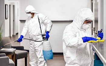 Hamam Böceği İlaçlaması Nasıl Yapılır?