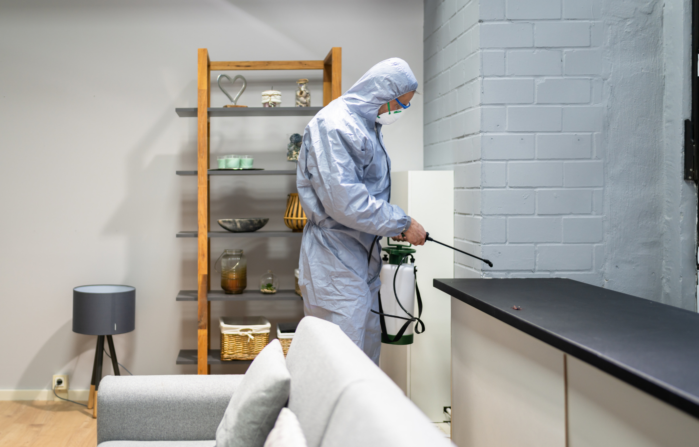 Profesyonel Böcek İlaçlama Neden Önemlidir?