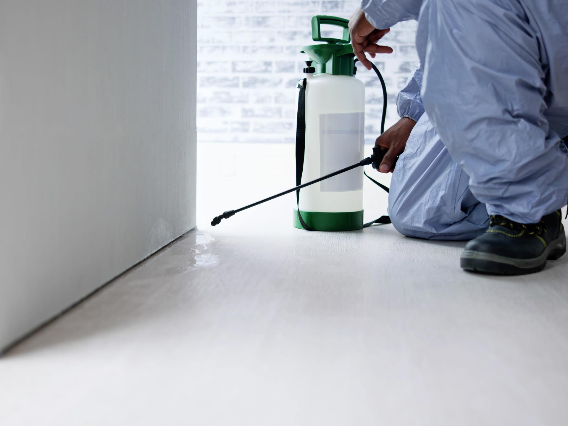 Hamam Böceği İlaçlama